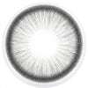 Freshlady Dawn Grey Premium Cosmetic Contact Lenses – FA08-5 (14.5mm)